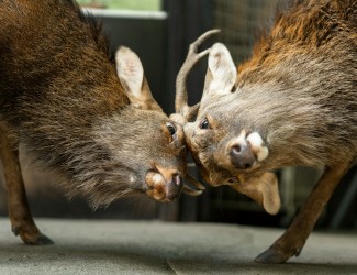 communication-vs-marketing