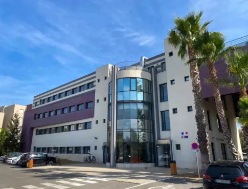 Bachelor Marketing Digital Montpellier : une expertise stratégique et opérationnelle dès le Bac+3
