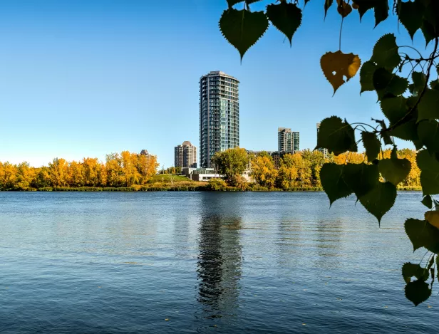 stage-communication-montreal