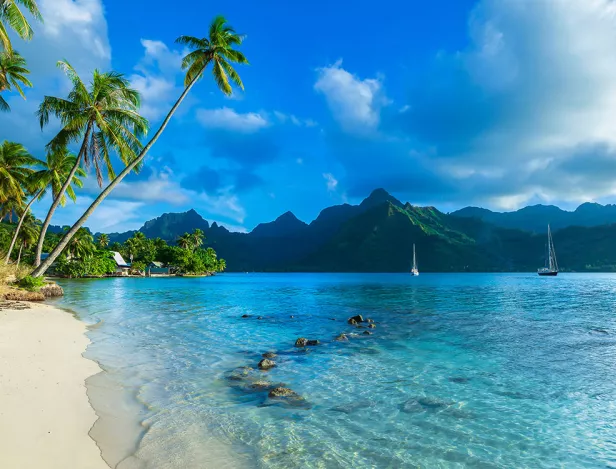 best-beaches-moorea-french-polynesia
